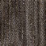 Pavi-Fossil03-BL-PAVI-FO03